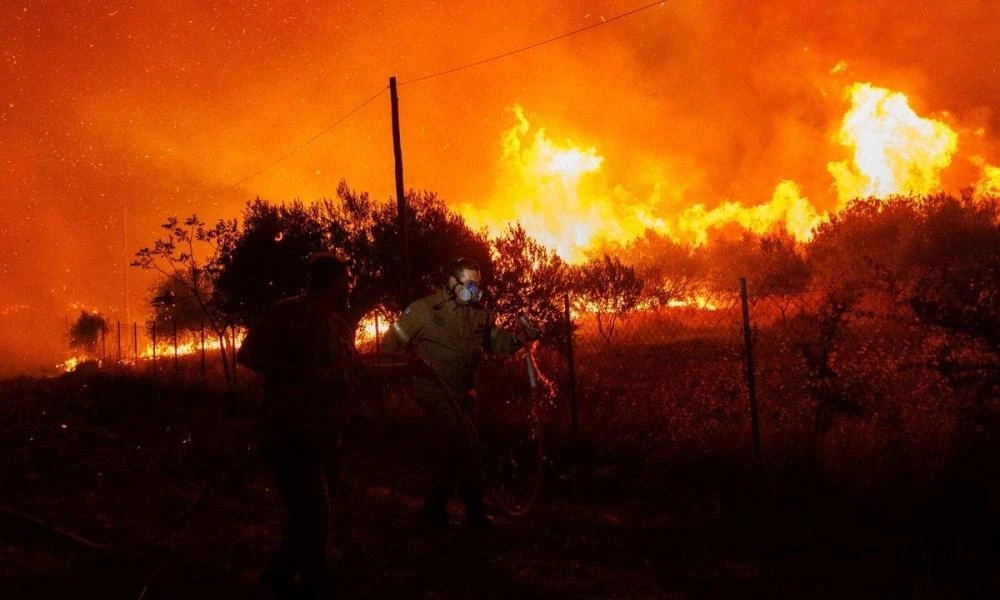 Ακόμη ένας μετανάστης βρέθηκε απανθρακωμένος στο δάσος της Δαδιάς στον Έβρο